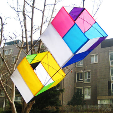 Vivid Box Kite