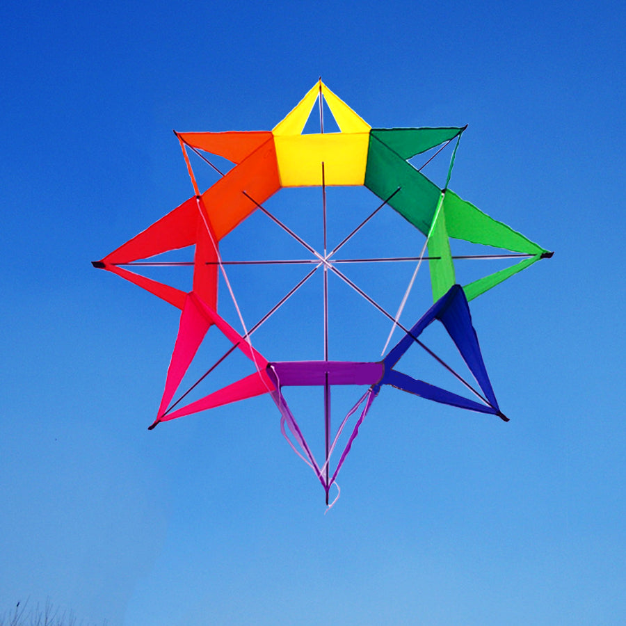 Rainbow Flower Shape Single Line Kite