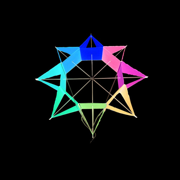Rainbow Flower Shape Single Line Kite