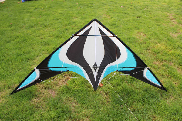 Power Stunt Kite With Handle And Line