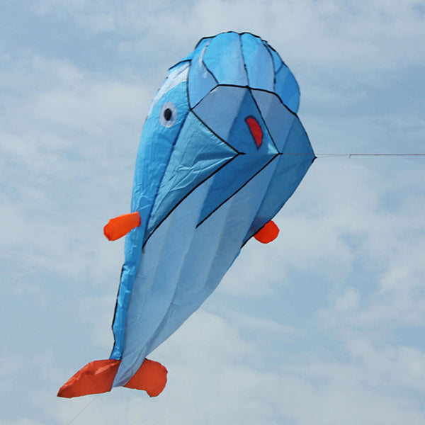 3D Para-foil Dolphin Kite