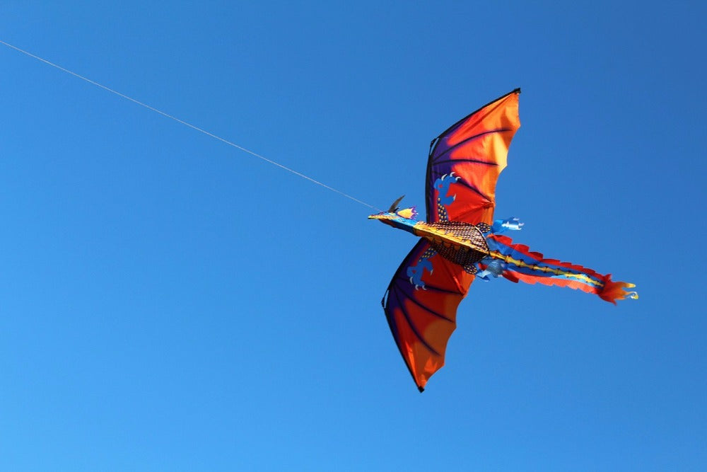 Classical And Colorful Dragon Kite