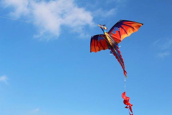 Classical And Colorful Dragon Kite
