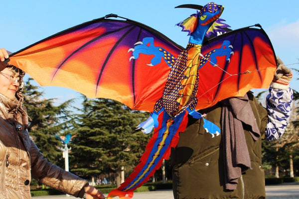 Classical And Colorful Dragon Kite