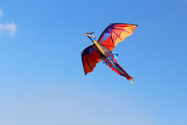 Classical And Colorful Dragon Kite