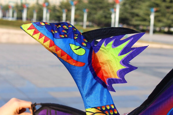 Classical And Colorful Dragon Kite