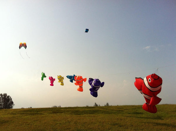 Nylon Cloth Nemo Windsock Kite