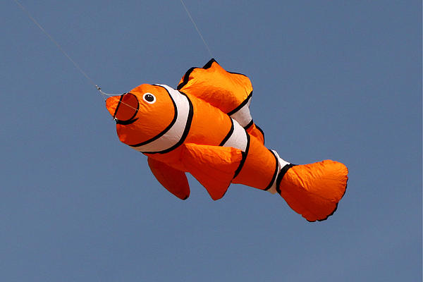 Nylon Cloth Nemo Windsock Kite