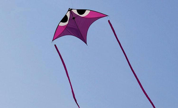 Wala Glider Kite