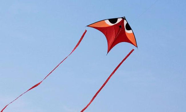 Wala Glider Kite