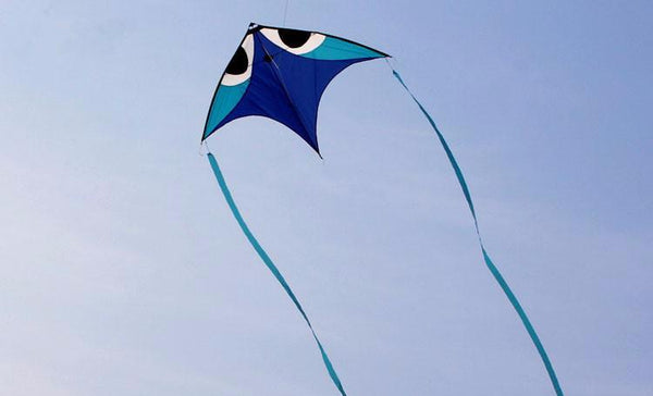 Wala Glider Kite