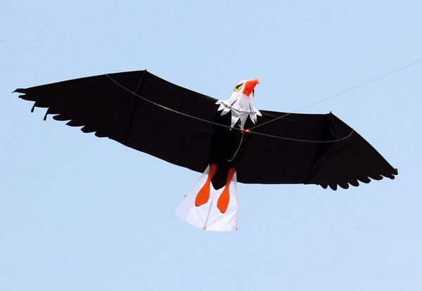 High Quality 3D Eagle Kite