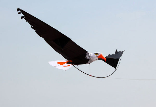High Quality 3D Eagle Kite