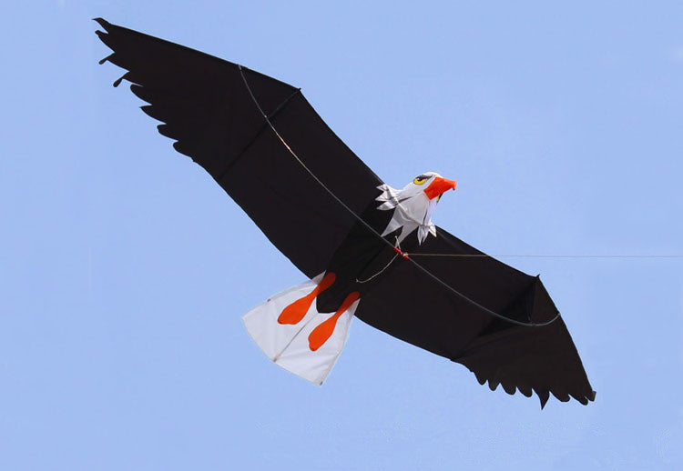 High Quality 3D Eagle Kite