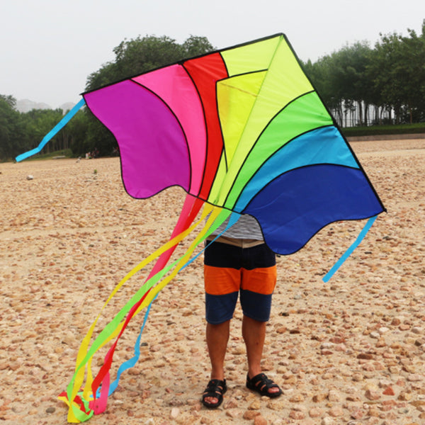 Rainbow Flying Triangular Kite